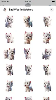 sad westie stickers iphone screenshot 2