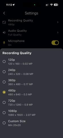 LOWER - 0.02 - 0.3 MP Camera iPhone screenshot