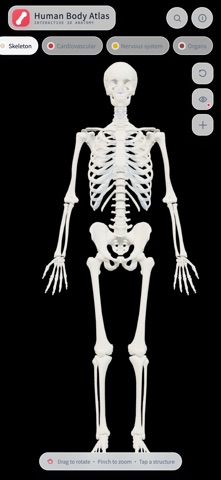 HumanBodyAtlas iPhone screenshot