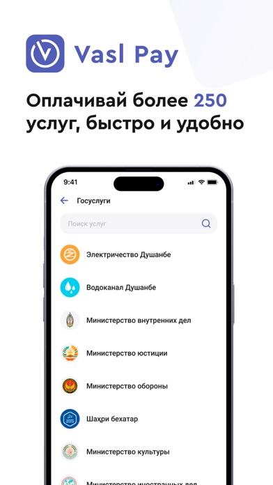 Vasl Pay Screenshot