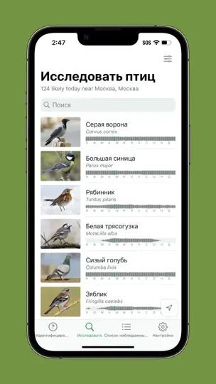 Скриншот Merlin Bird ID By Cornell Lab на iPhone 3
