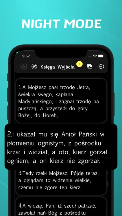 Polish Bible - offline screenshot-6