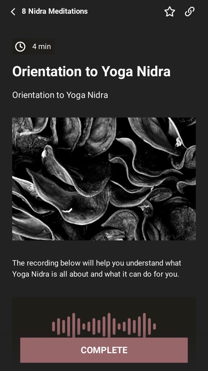 Julia Frodahl (discontinuing)