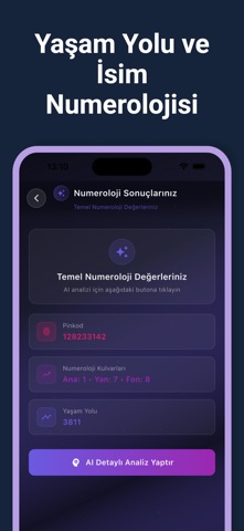 Astro Analiz screenshot