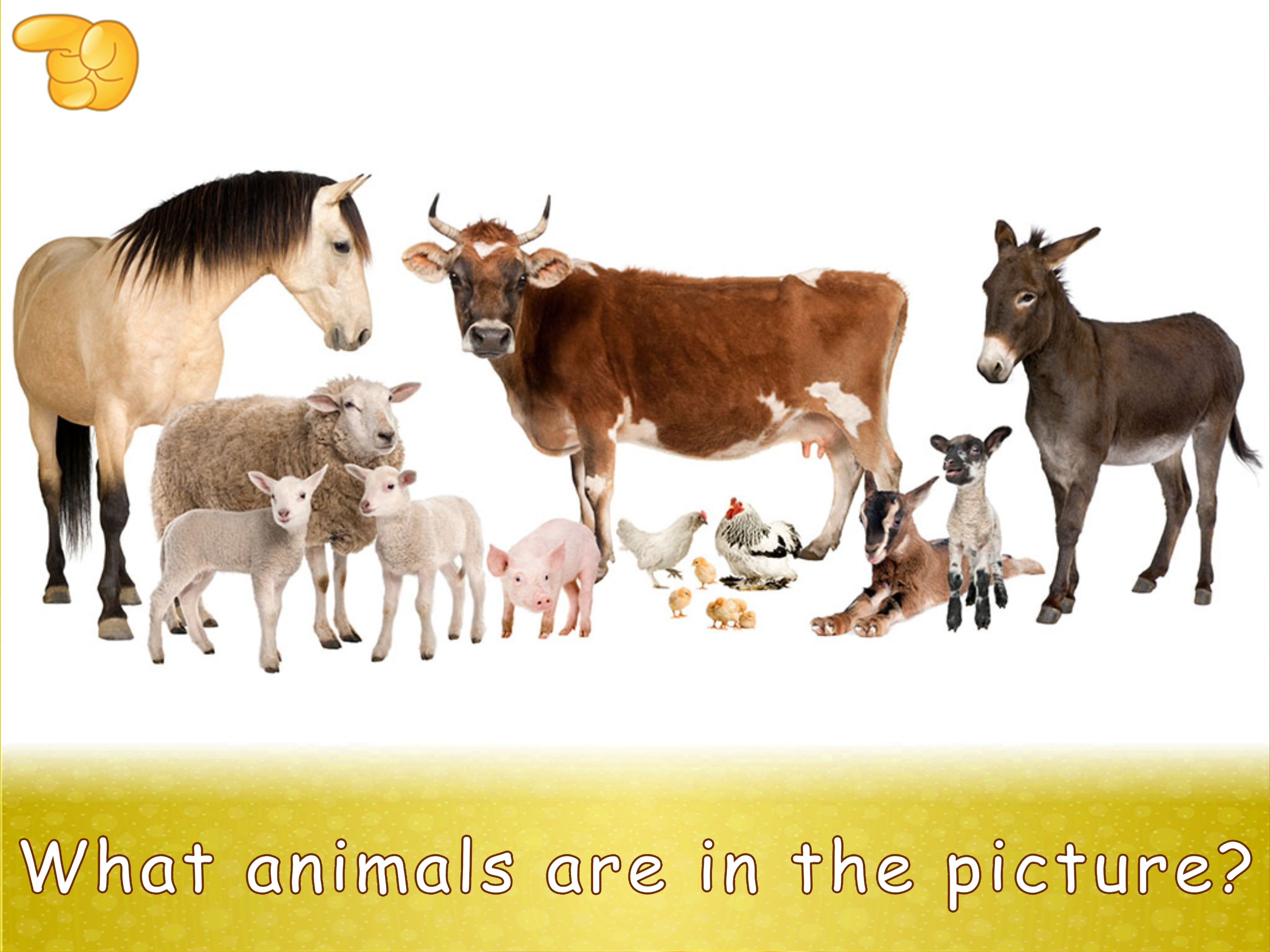 Animal picture games for kids. screenshot 13