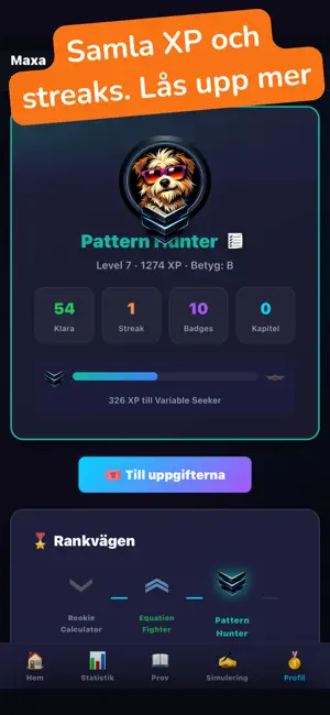 Maxa NP Ma2b med Smatte screenshot 4