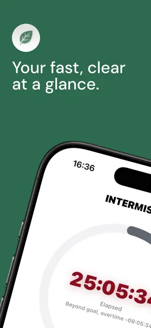 INTERMISSIO screenshot 1