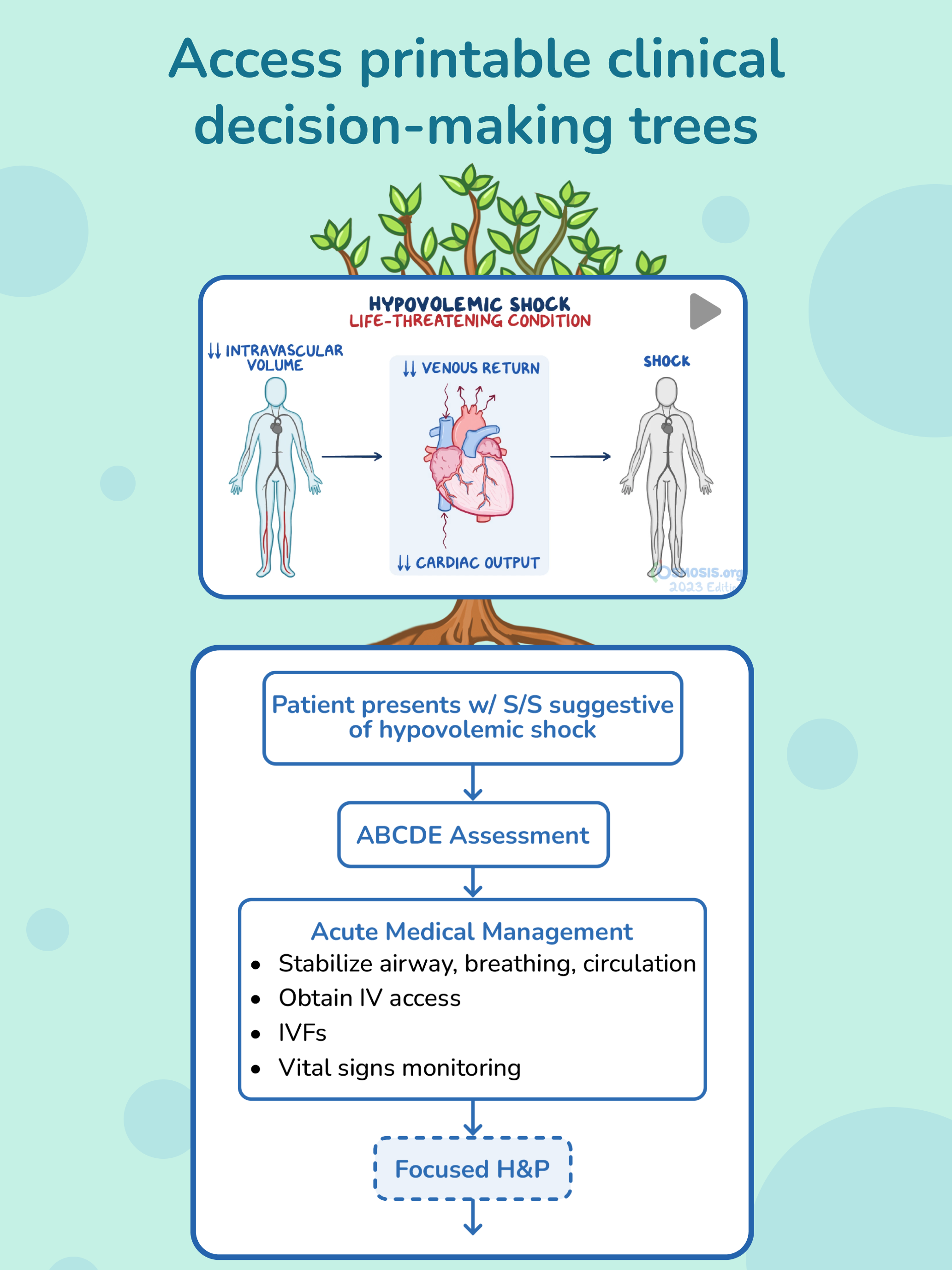 Osmosis - Med School Study App