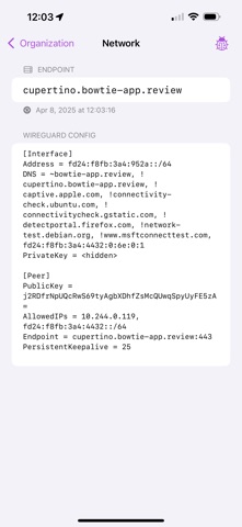 Bowtie Security screenshot