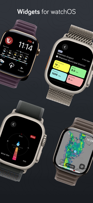 Windy.com Screenshot