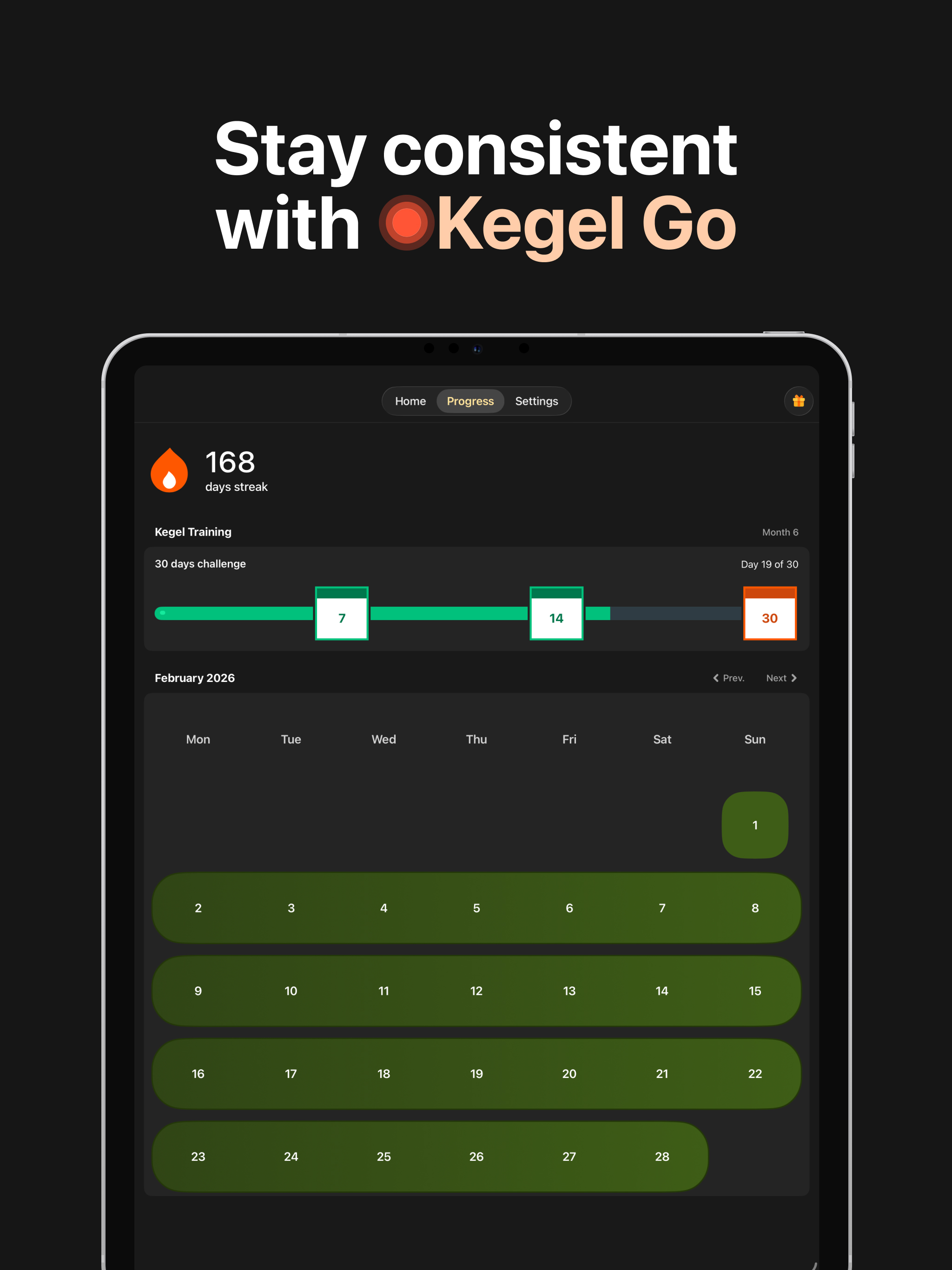 Kegel Exercises by Kegel Go