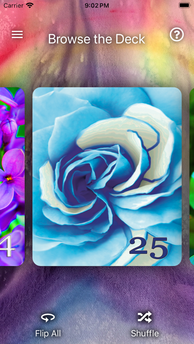 The 49 Rays of God Screenshot