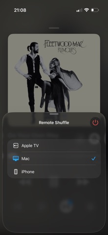 Remote Shuffle screenshot