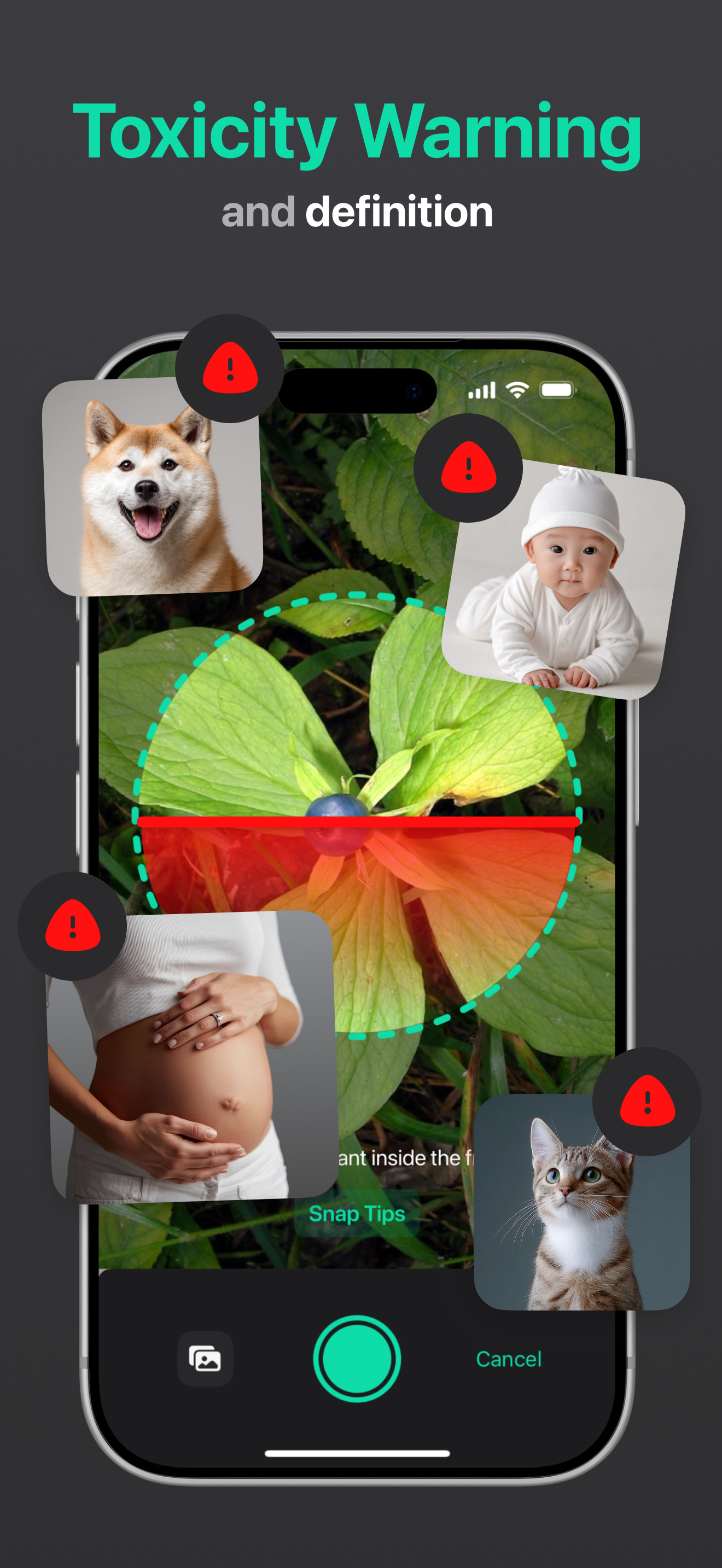 Plant Identifier. Fix Disease