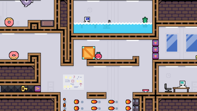 Dadish Collection Screenshot