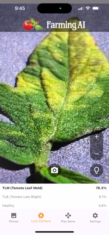Tomato Disease Diagnosis screenshot