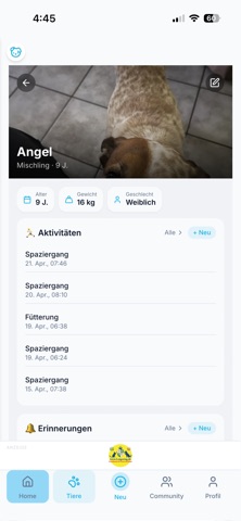 Anipal screenshot