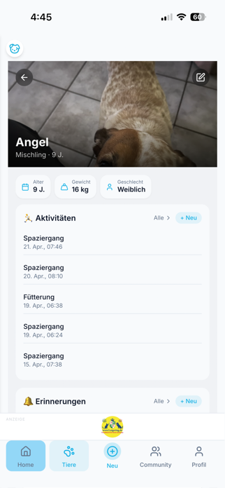 Anipal Screenshot 1 of 8