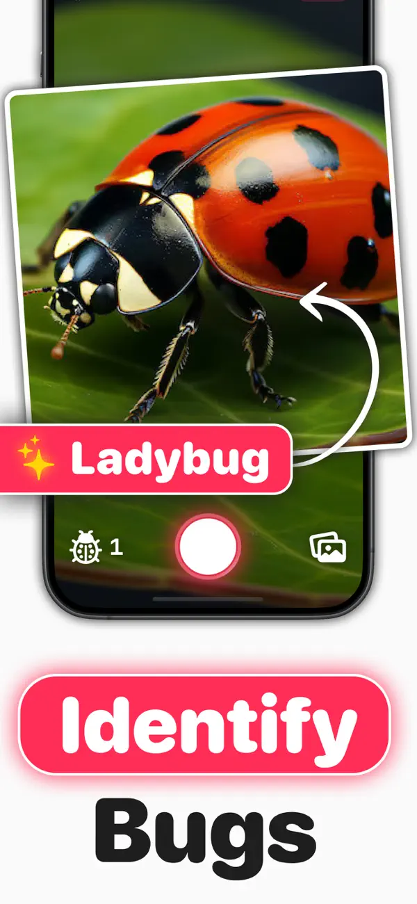 #1. Identify Bugs ° (iOS) De: Leonardo Estremadoyro