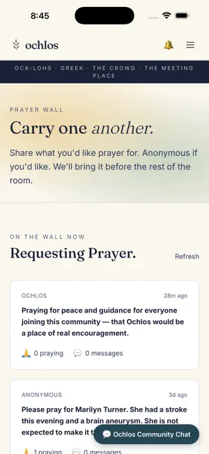 Ochlos: Christian Community screenshot 2
