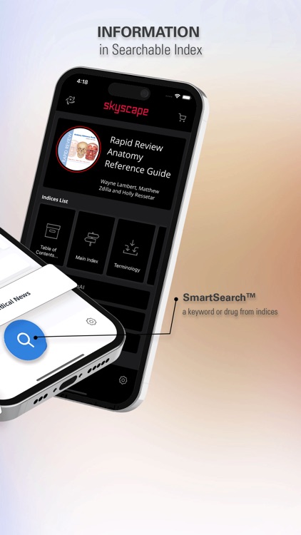 Rapid Review Anatomy Guide