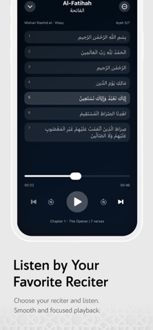 Quran (No Ads) Screenshot 9 of 10