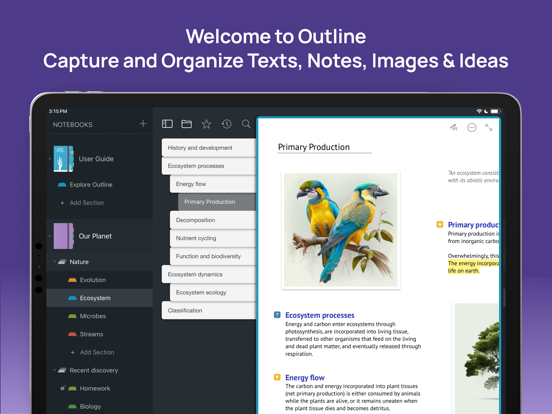 Screenshot #4 pour Outline: Notes for OneNote
