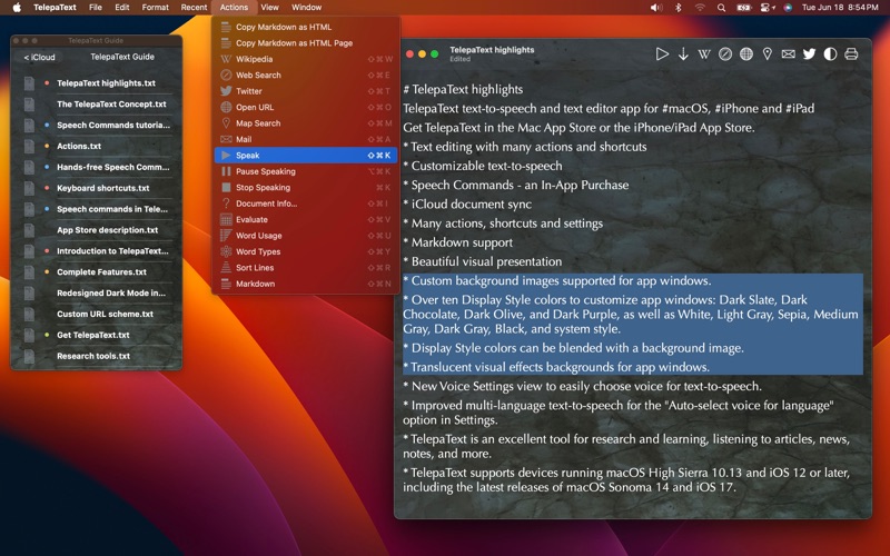 TelepaText - editor, speech screenshot