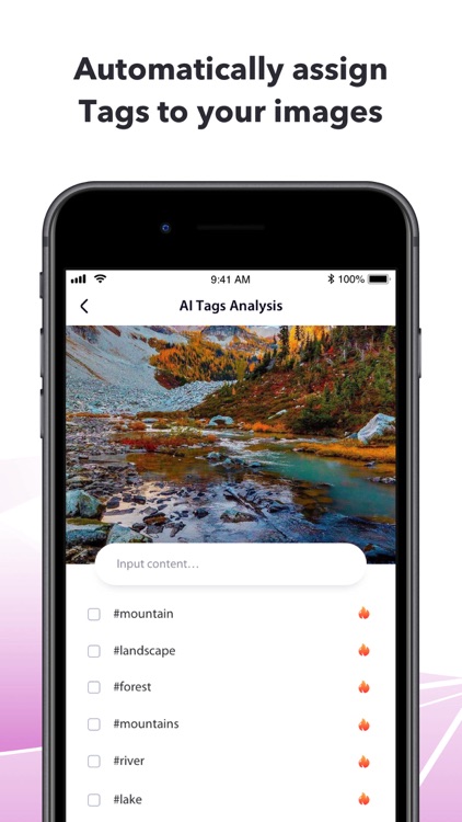 My Tags & MyFollowers