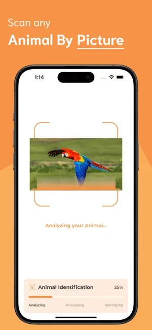 Animal Identifier - AI screenshot 2