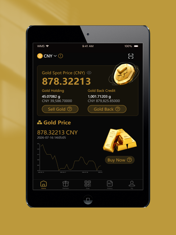 GoldPay.sg iPad screenshot