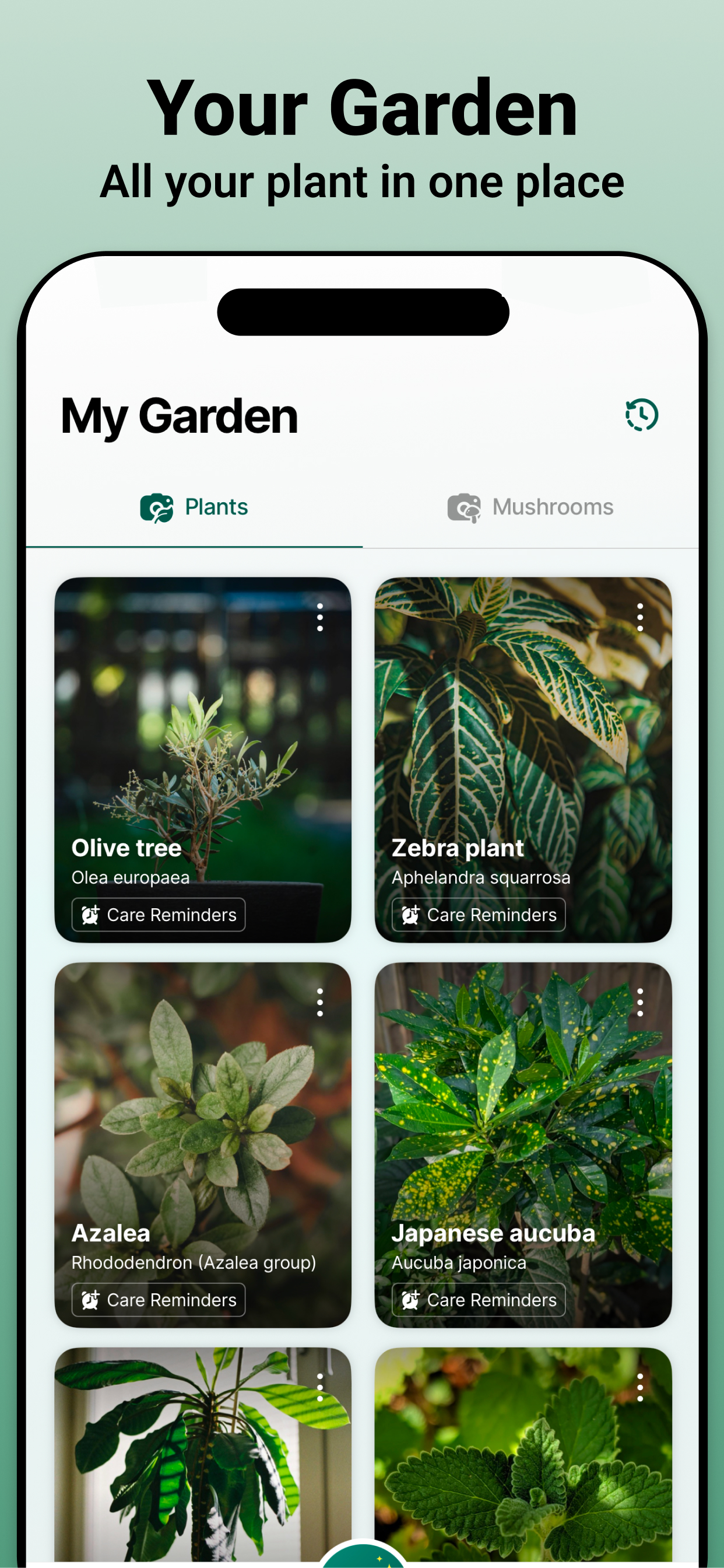 Jungle: Plant Identifier, Care