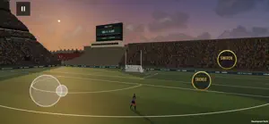 Gaelic Star: Football Manager screenshot 1