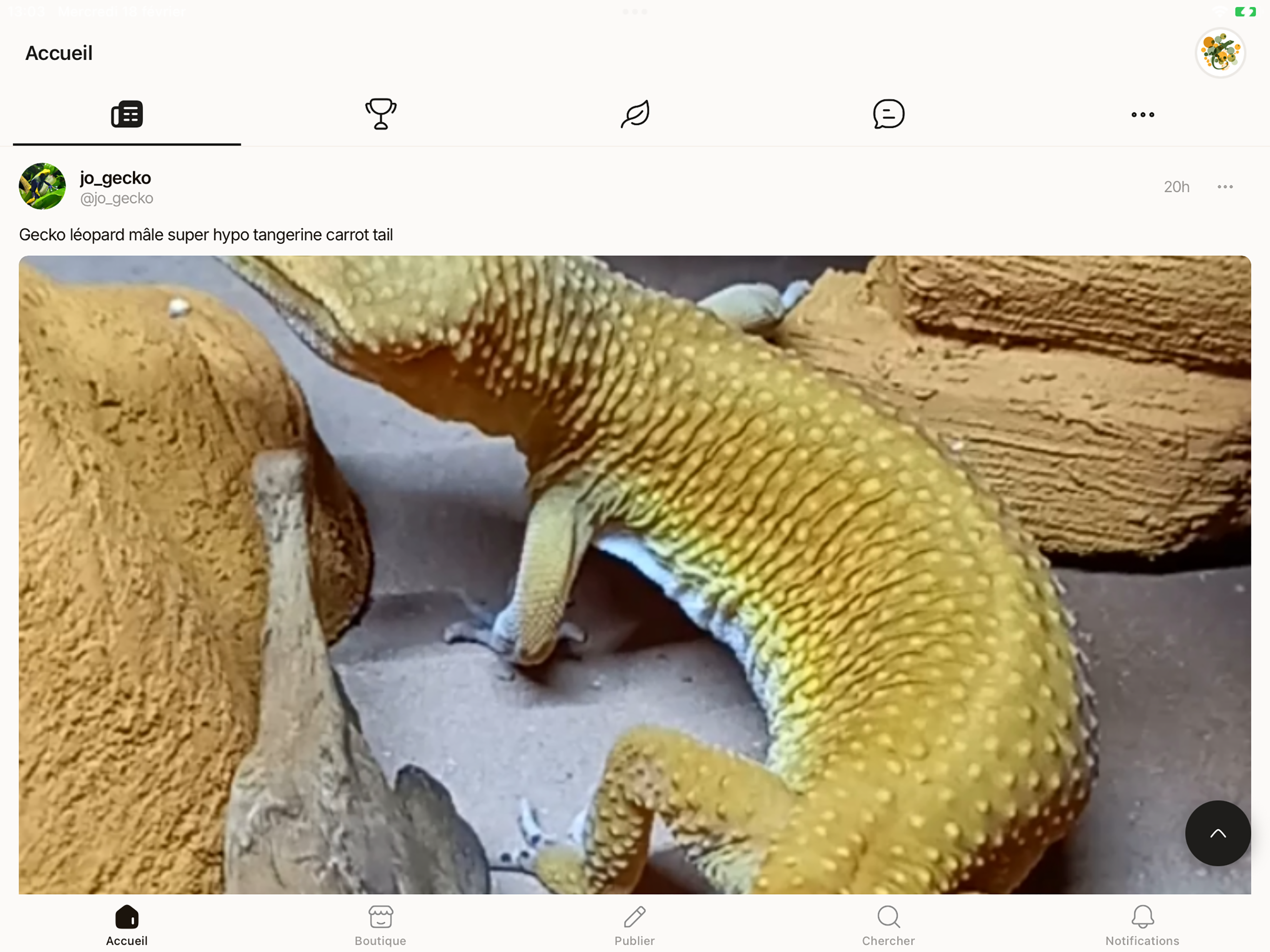 TerrAddict