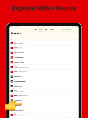 Der, Die, Das? AI German iPad screenshot