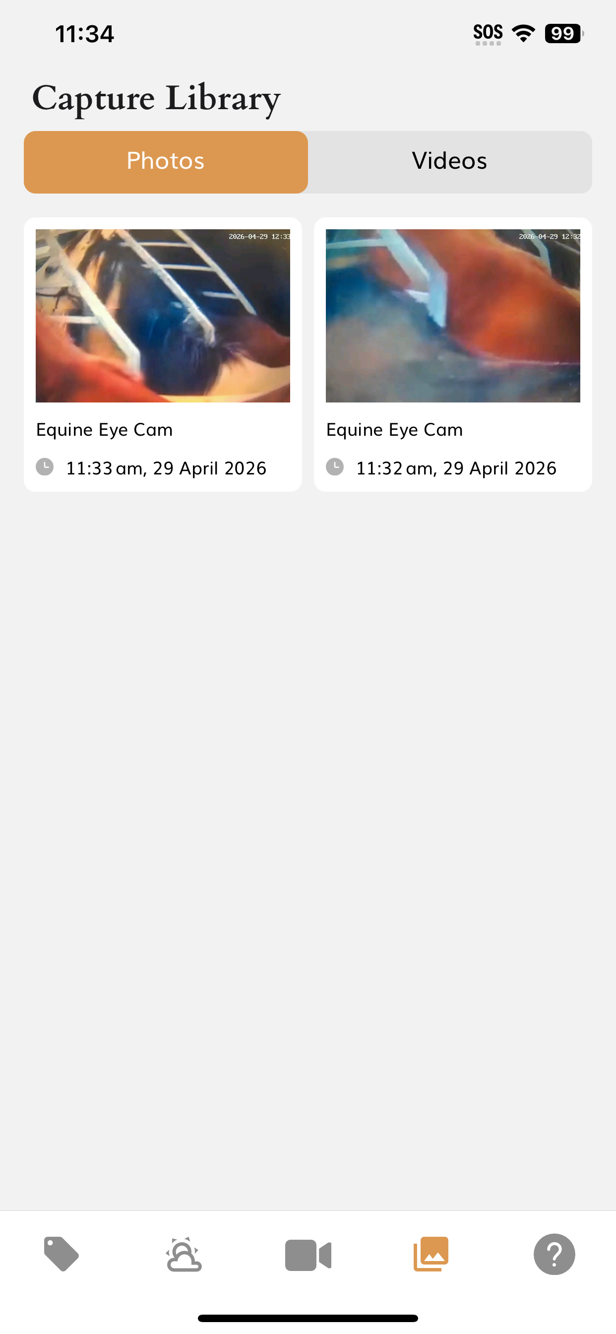 Equine Eye Voyager screenshot 4