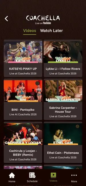 Coachella Livestream screenshot 4