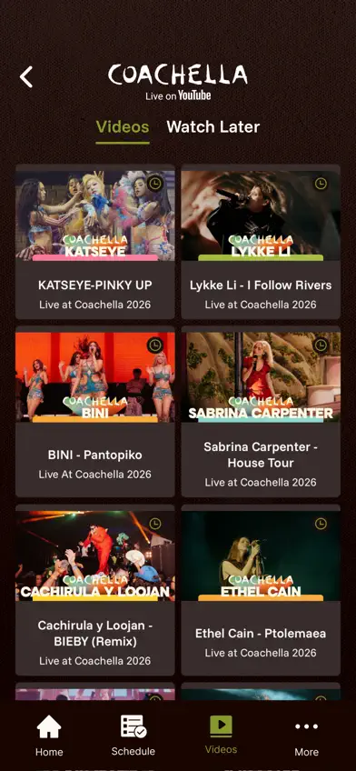 Coachella Livestream screenshot 4