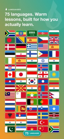 Learn Languages - LingFast iPhone screenshot