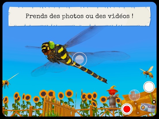 Screenshot #5 pour Insectes & Araignées (Complet)