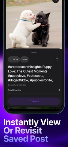 Revisit: Save Posts & Links screenshot