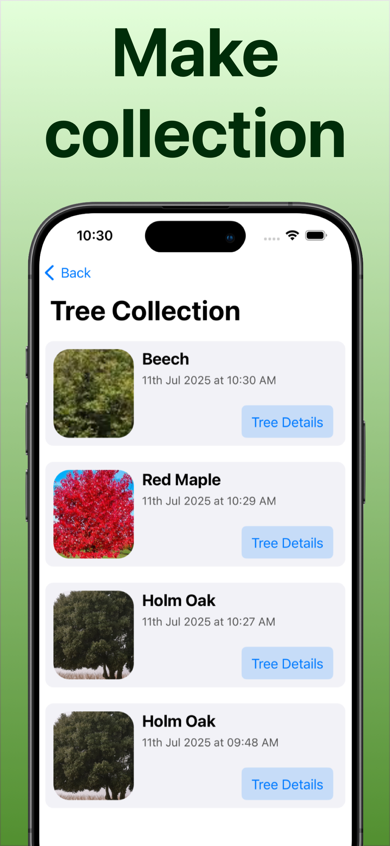 Tree Identifier: Tree id