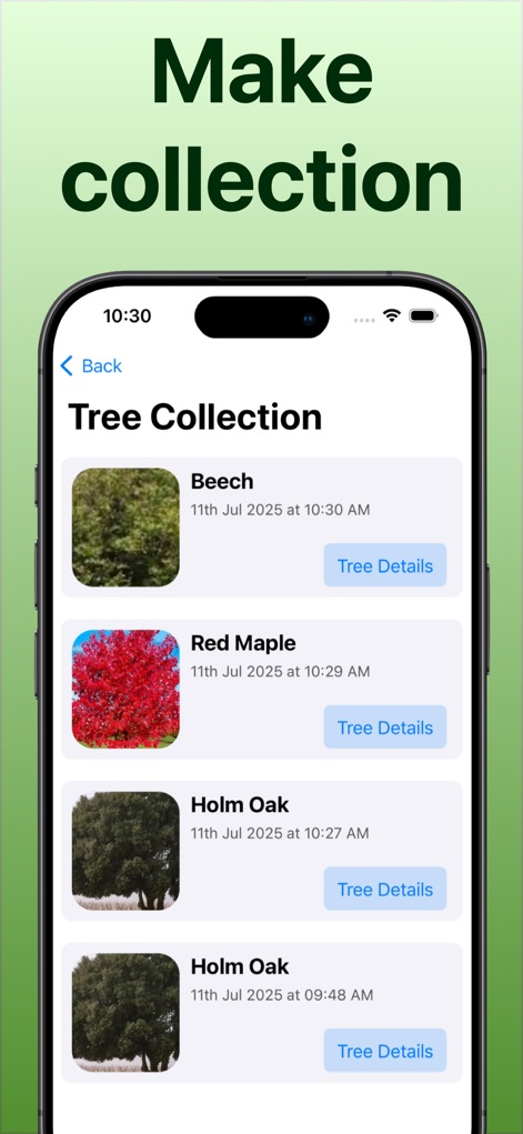 Tree Identifier: Tree id - App de Educación | MWM