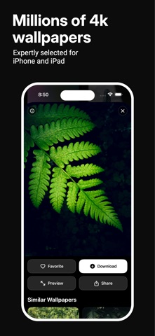 Lume: 4K Wallpapers for iPhone Screenshot 7 of 8