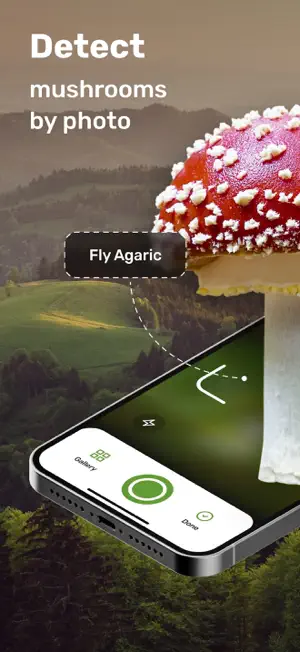 Mushroom Picture Identifier screenshot 1