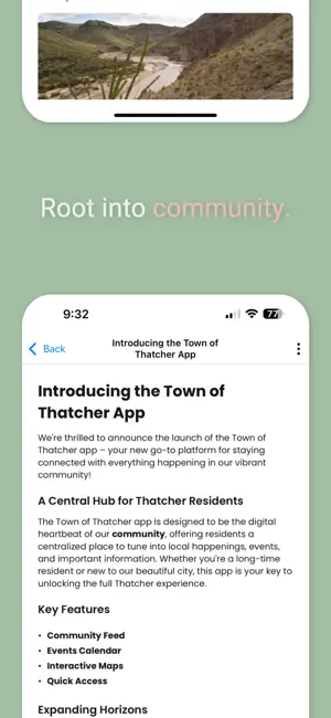 Town of Thatcher screenshot 4