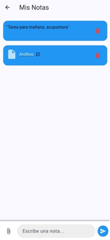 PleniitChat screenshot