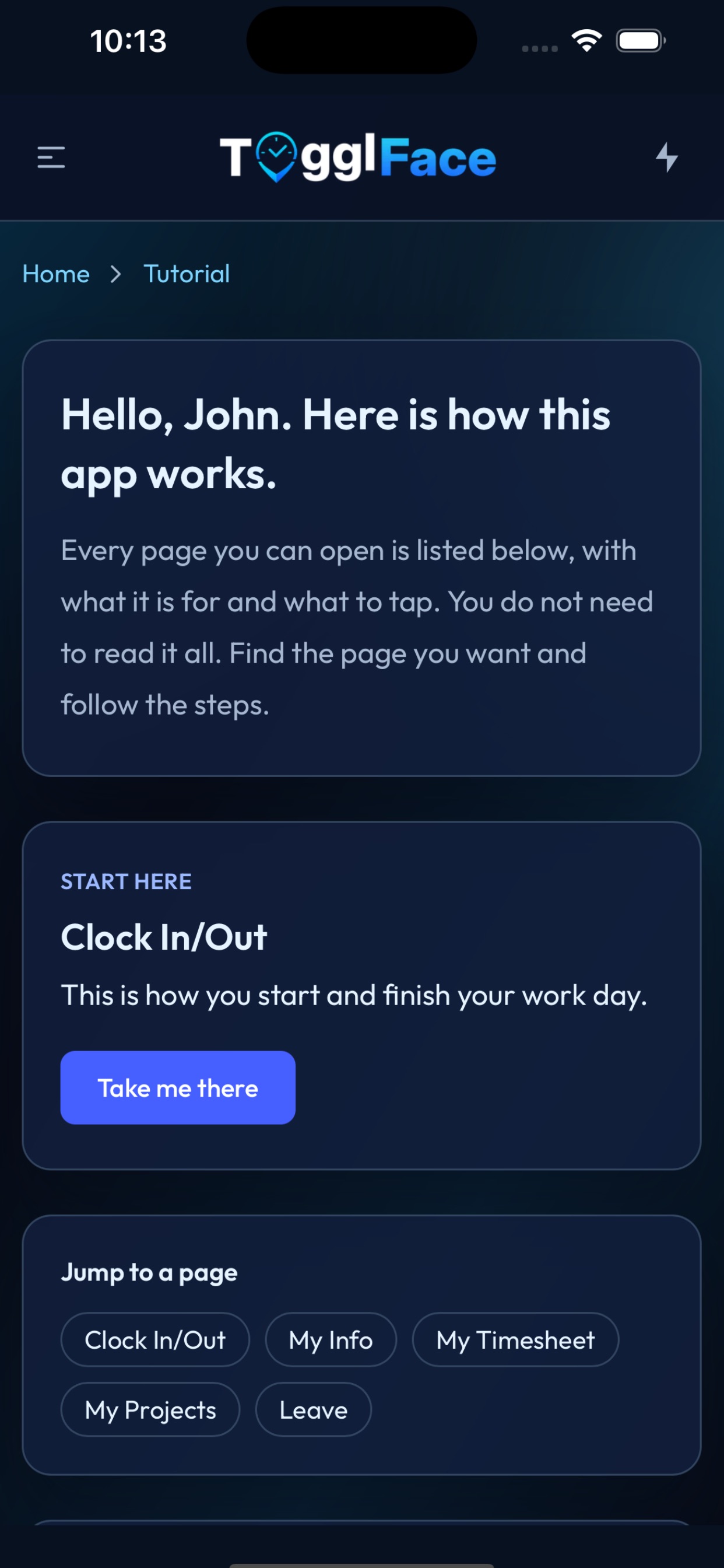 Screenshot 6 of TogglFace