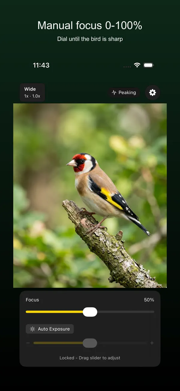 Screenshot #1 pour FixedFocus: Digiscoping Cam