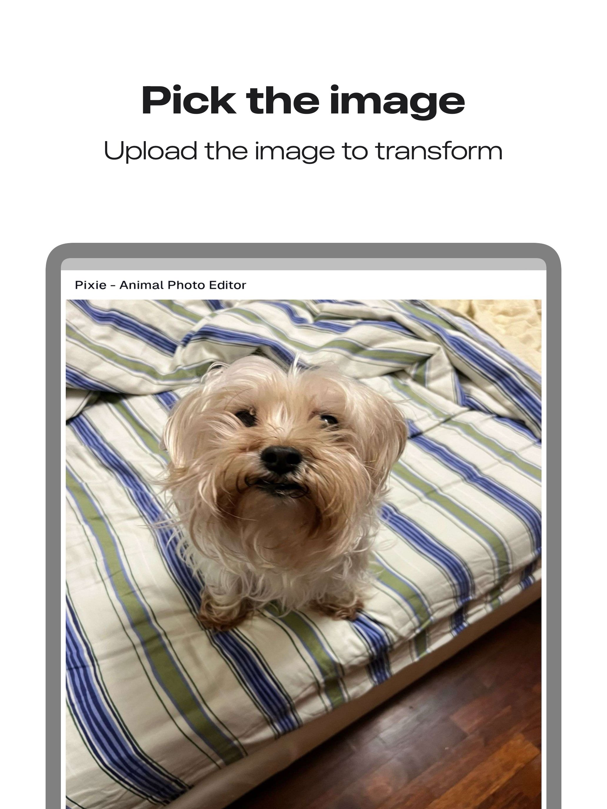 AI Photo Tattoo Editor - Pixie